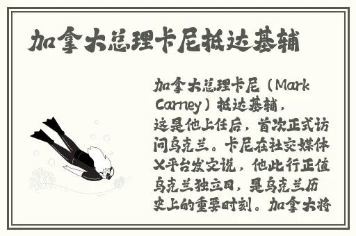 寻小小猫爪影像视频在线